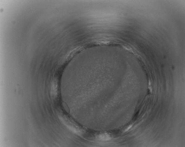 X0000062830600200601271953