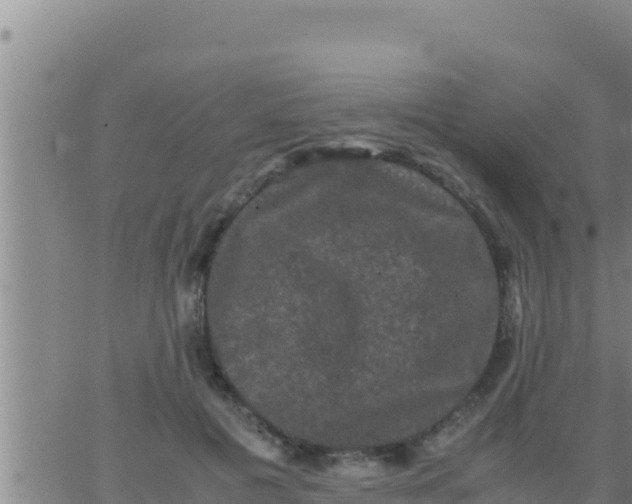 X0000062830601200601271953