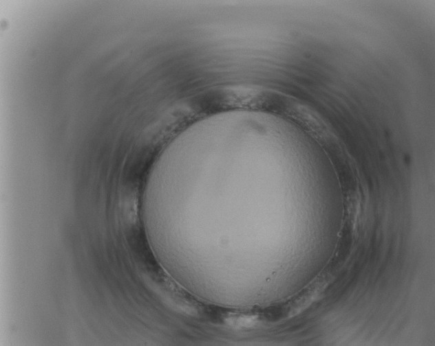 X0000062830602200601271953