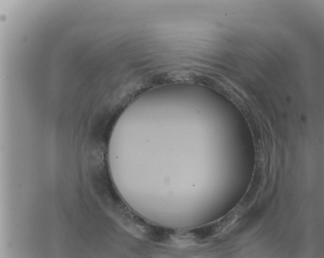 X0000062830603200601271953