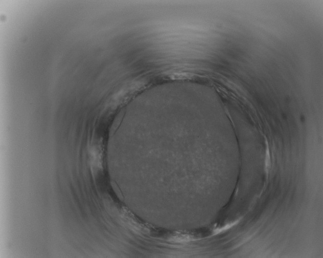 X0000062830604200601271953