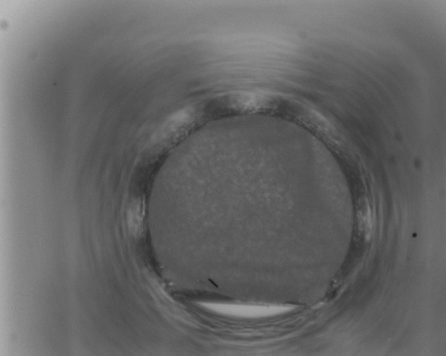 X0000062830605200601271953