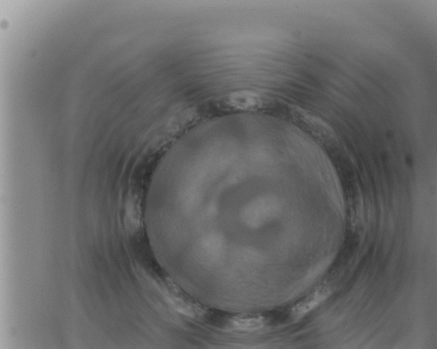 X0000062830606200601271953