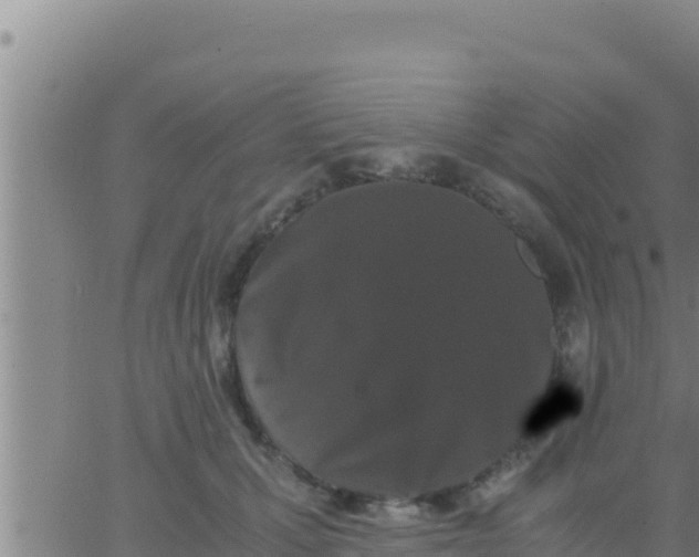 X0000062830607200601271953