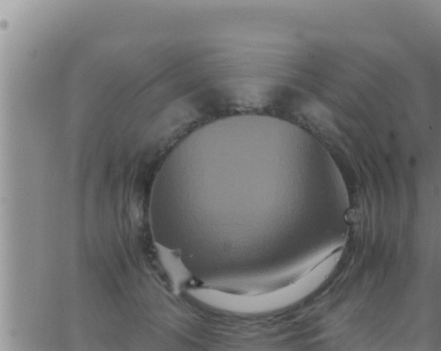 X0000062830608200601271953