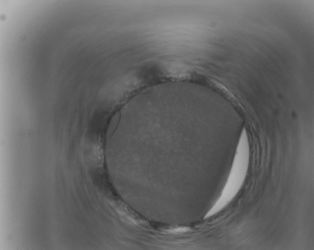 X0000062830609200601271953