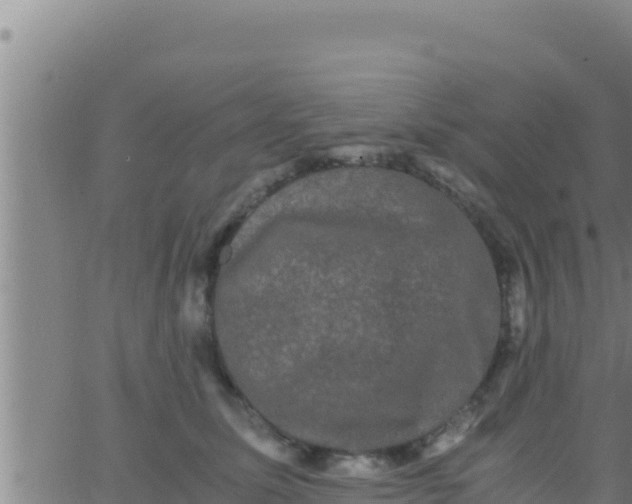 X0000062830611200601271953