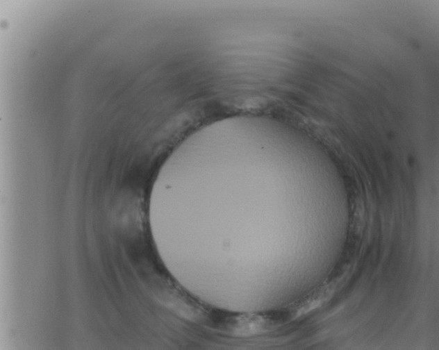 X0000062830612200601271953