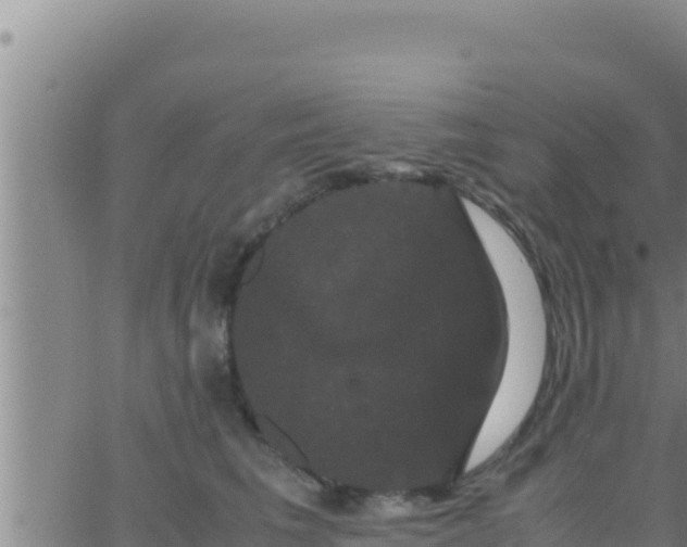 X0000062830613200601271953