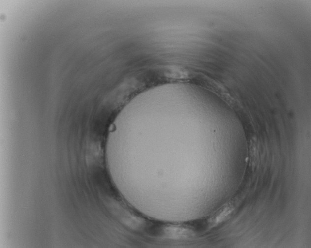 X0000062830614200601271953