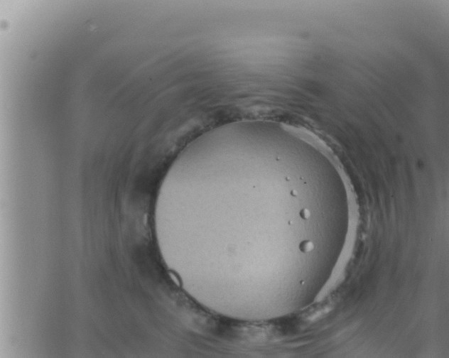 X0000062830615200601271953