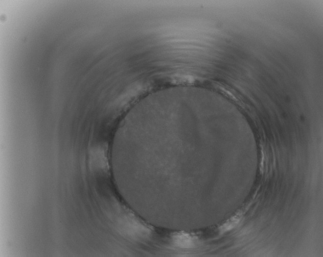 X0000062830616200601271953