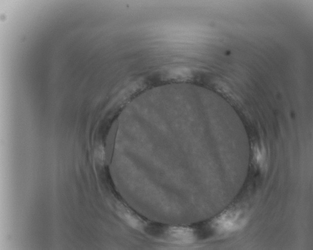 X0000062830617200601271953