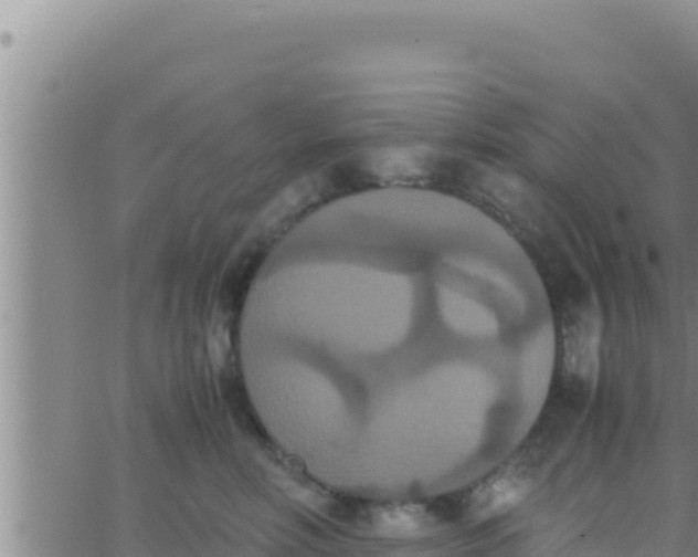 X0000062830618200601271953