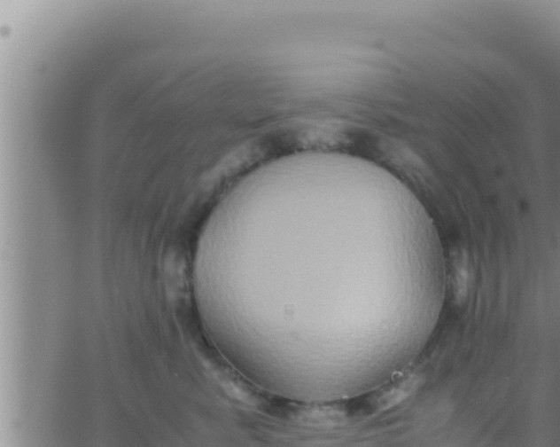 X0000062830619200601271953