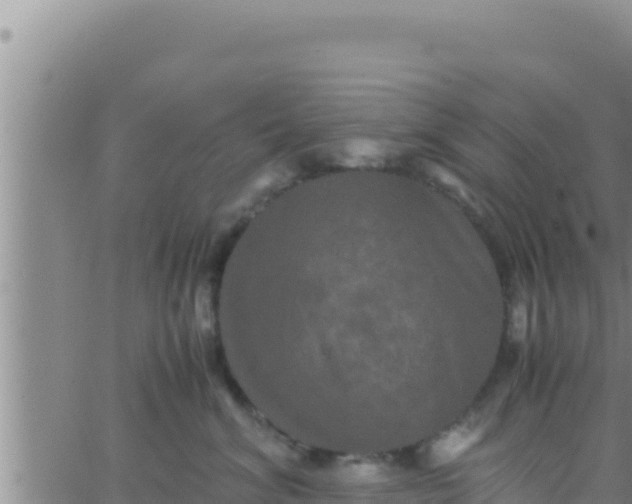 X0000062830620200601271953