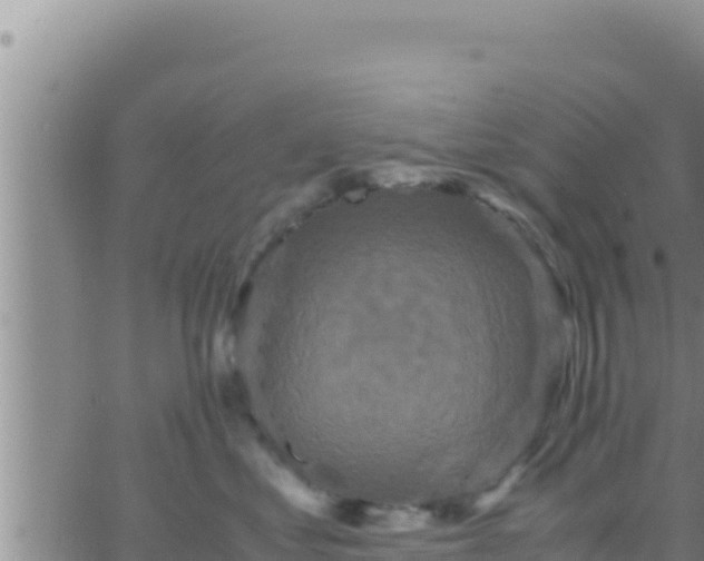 X0000062830621200601271953