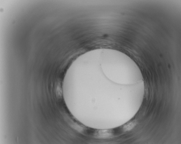 X0000062830622200601271953