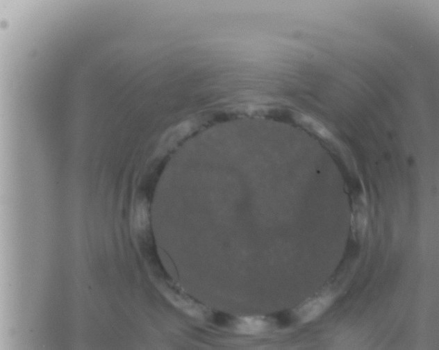 X0000062830623200601271952