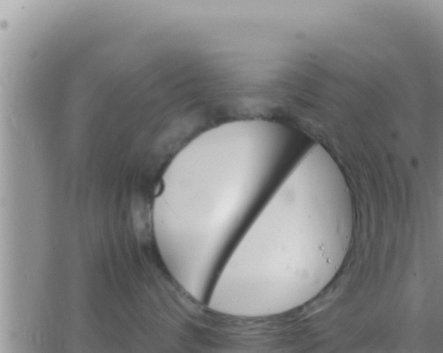 X0000062830624200601271952