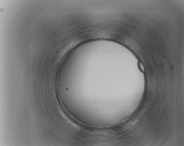 X0000062830625200601271952