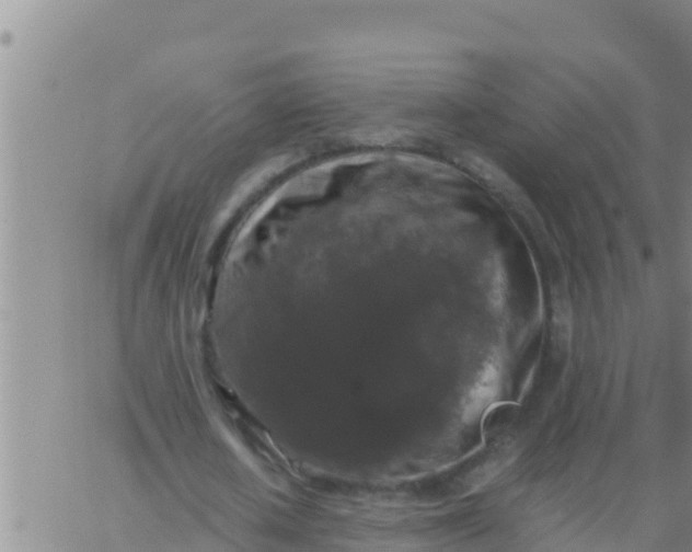 X0000062830626200601271952