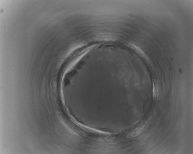 X0000062830627200601271952