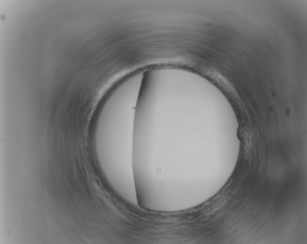 X0000062830628200601271952