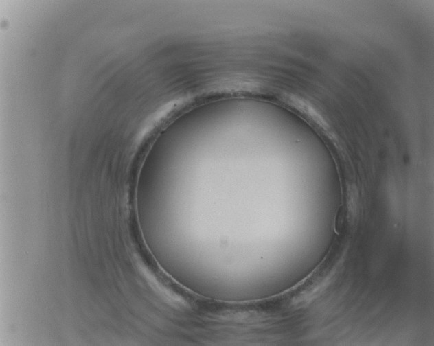 X0000062830629200601271952