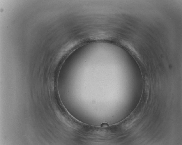 X0000062830631200601271952