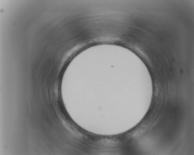 X0000062830632200601271952