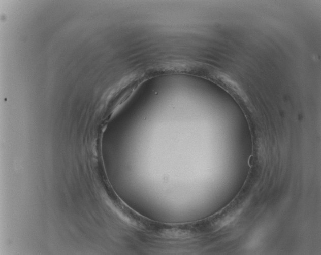 X0000062830633200601271952