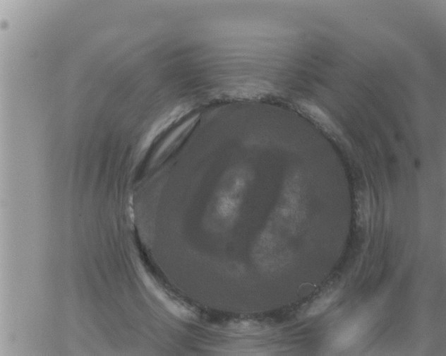 X0000062830634200601271952