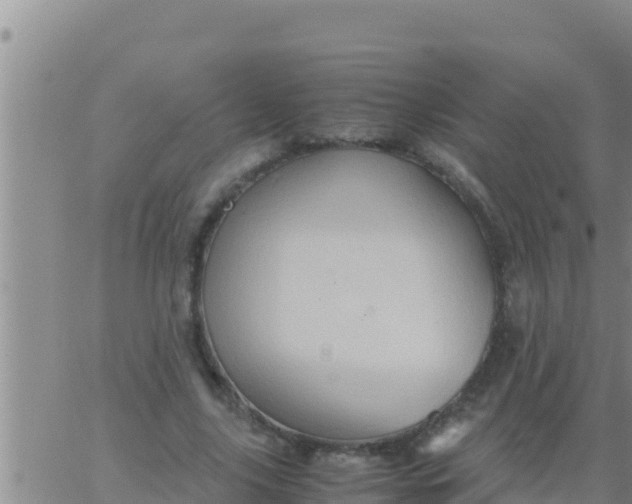 X0000062830635200601271952