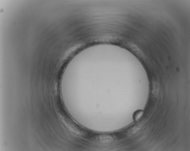 X0000062830636200601271952