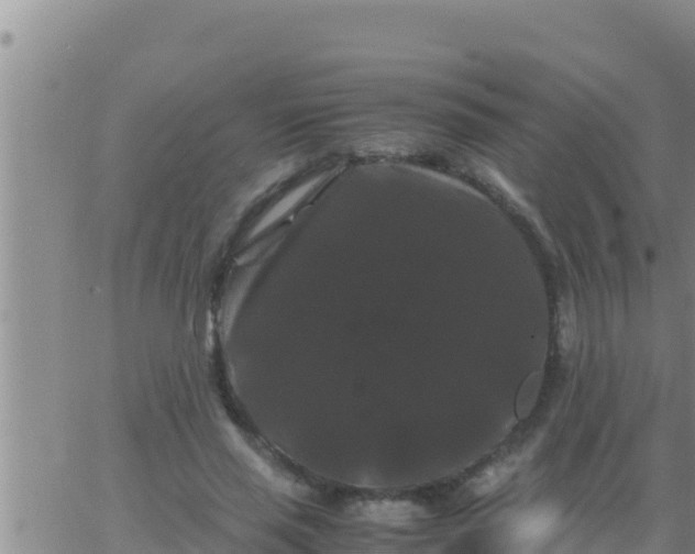 X0000062830637200601271952