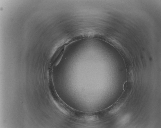 X0000062830638200601271952