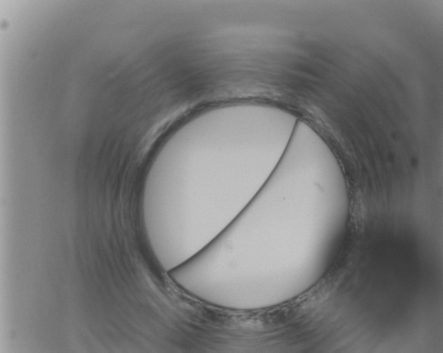 X0000062830640200601271952