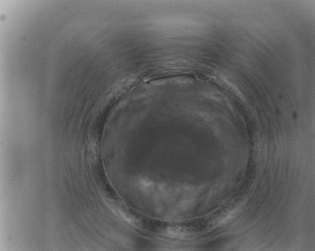 X0000062830641200601271952