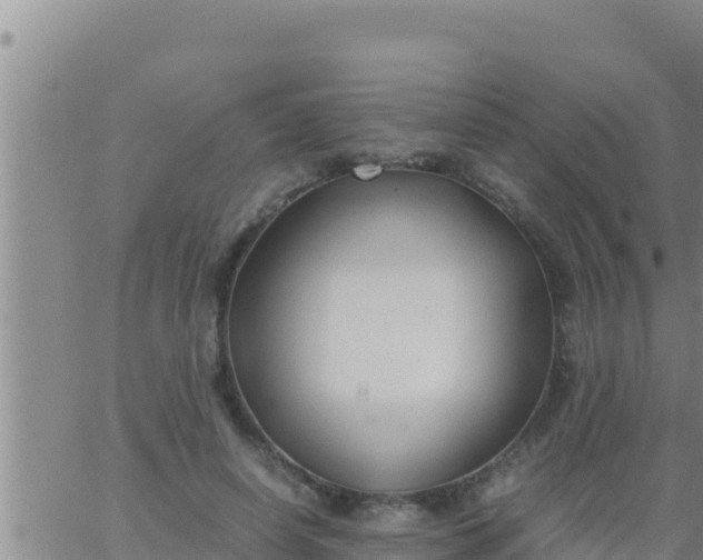 X0000062830642200601271952