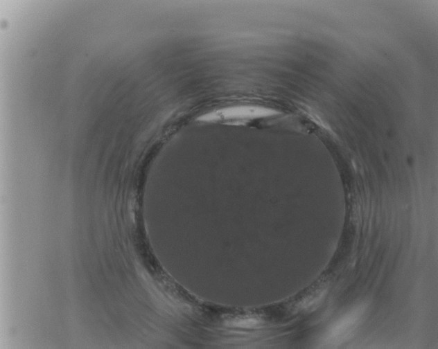 X0000062830643200601271952