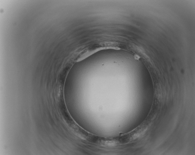 X0000062830645200601271952