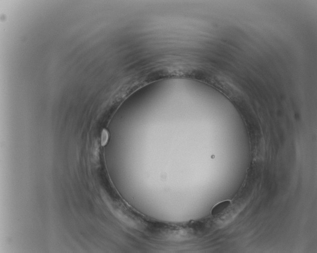 X0000062830646200601271952