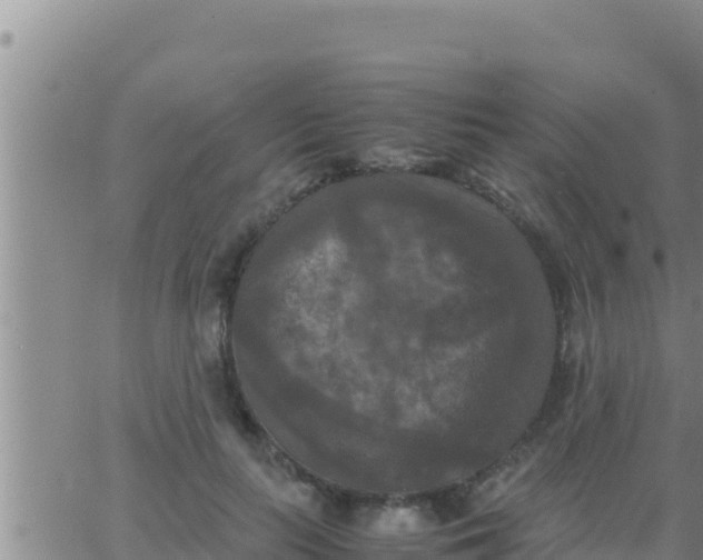 X0000062830647200601271952