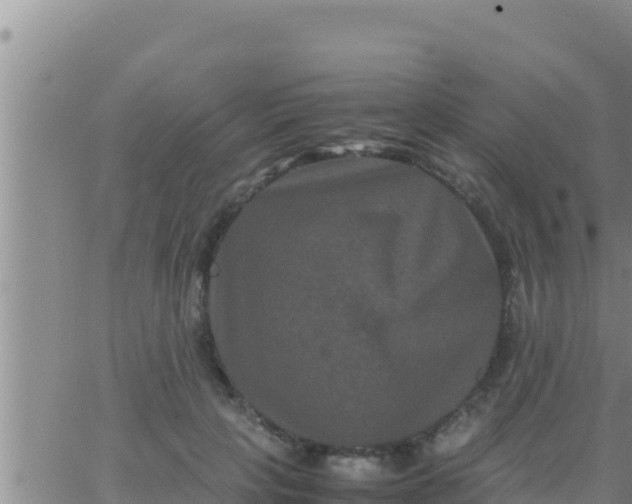 X0000062830649200601271952