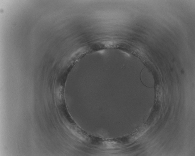 X0000062830650200601271952