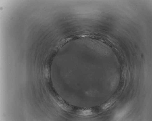 X0000062830651200601271952