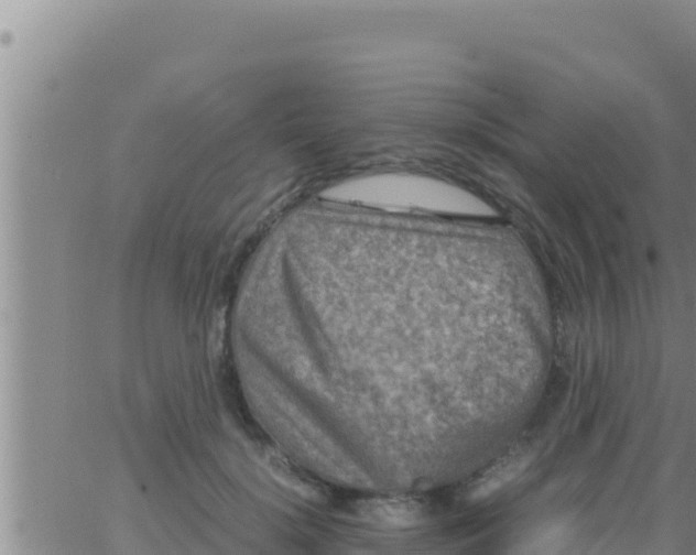 X0000062830652200601271952