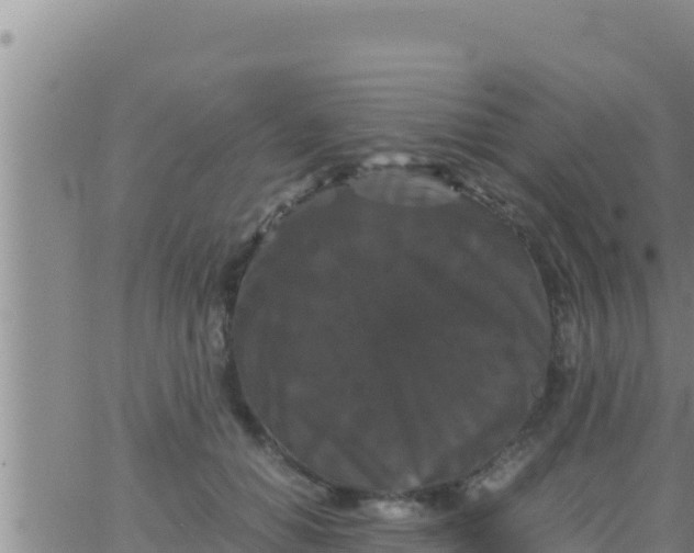 X0000062830654200601271952