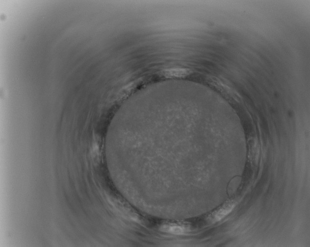 X0000062830655200601271952